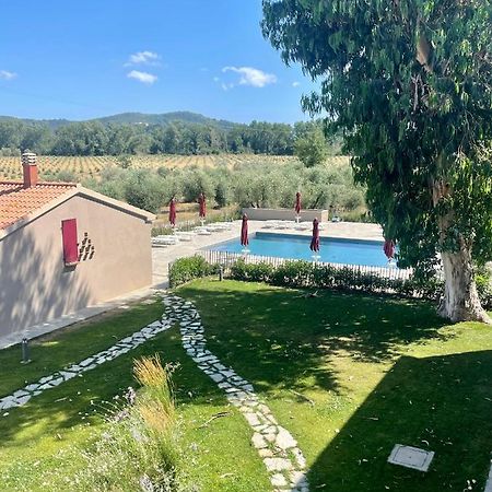 Terravita Winery & Boutique Apartments Suvereto Exterior foto