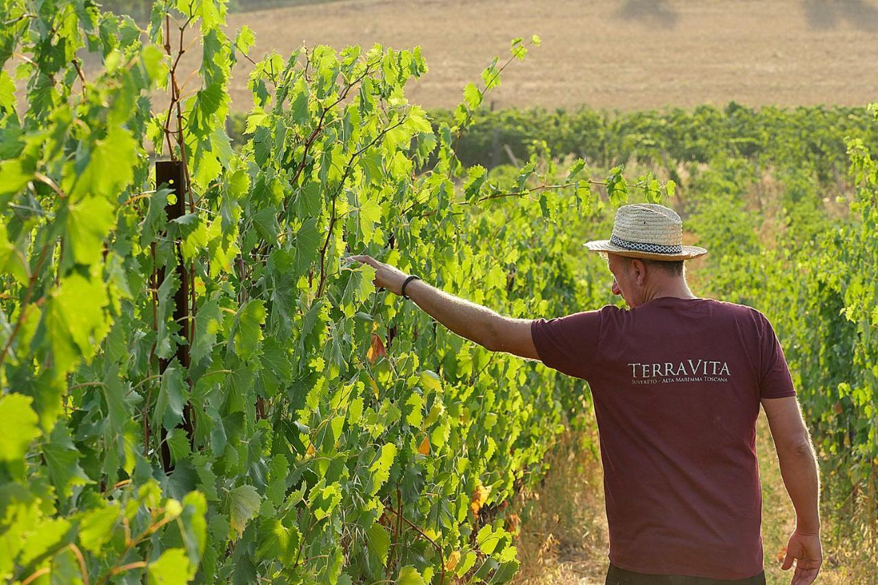 Terravita Winery & Boutique Apartments Suvereto Exterior foto